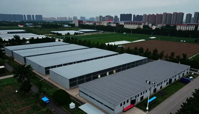 数字化转型背景下技术培训的实践路径与价值